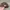 New Era 59FIFTY Easter NY Cooperstown photo 3