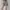 Vintage Luxury Short Wanita tan photo 2