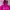 Juicy Couture Hoodie Women