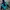 Japanese Brand Gorpcore Sportswear Windbreaker Pria Blue Black