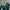 Umbro Sportswear Windbreaker Pria white navy photo 2