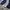 Umbro Sportswear Windbreaker Pria white navy photo 4