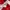Jersey Timnas Player Issue photo 6