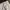 Cargartt Long Pants Cream Carpenter Khakis photo 5