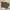 Uniqlo utility nylon shorts side pocket brown photo 5