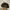 Stussy noa wash low pro cap hat photo 3