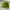 Stussy ss link skullcap beanie photo 1