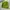 Stussy ss link skullcap beanie photo 3