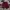Bayern Munich Adidas 2014-2015 Training Shorts photo 1