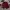 Bayern Munich Adidas 2014-2015 Training Shorts