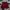 Bayern Munich Adidas 2014-2015 Training Shorts photo 3