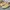 SKECHERS size 48 Argum Alkova Steel Toe Made in China photo 3