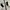 Nautica Winter Parka Jacket White(3A-33) photo 3