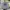 OAKLEY HYDROLIX FACTORY PILOT