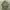 Vintage 90’s Japan Green Parka Jacket photo 3
