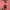 Forever 21 Atasan Knit Lengan Panjang Wanita Peach Size M photo 2