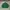 Kemeja Workshirt Castrol Vintage Original Jumbo XXL photo 1
