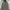 Polo Raplh Lauren Quilted Jacket (3A-34) photo 1