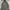 Polo Raplh Lauren Quilted Jacket (3A-34) photo 5