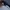 ASICS WINDBREAKER LIGHT JACKET photo 7
