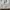 Diesel Streetwear Avant Garde Hat Pria cream photo 2