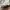 Diesel Streetwear Avant Garde Hat Pria cream photo 3