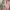 Outer pink photo 2