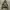 Moussy Faux Fur Military N-2B Double Zip Utility Jacket photo 8