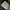 Moussy Faux Fur Military N-2B Double Zip Utility Jacket photo 10