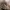 Adidas Yeezy 500 'Clay Brown' photo 1
