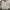 LL Bean Chore Jacket Canv4s Cream (3A-36 ) photo 1