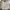 LL Bean Chore Jacket Canv4s Cream (3A-36 )