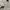 LL Bean Chore Jacket Canv4s Cream (3A-36 ) photo 3