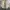 LL Bean Chore Jacket Canv4s Cream (3A-36 ) photo 5