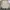 LL Bean Chore Jacket Canv4s Cream (3A-36 ) photo 6