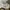 LL Bean Chore Jacket Canv4s Cream (3A-36 ) photo 7