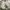 LL Bean Chore Jacket Canv4s Cream (3A-36 ) photo 4