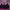 Sport bra seamless fuschia hitam senam yoga running pilates photo 1