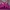 Sport bra seamless fuschia hitam senam yoga running pilates photo 2