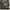Ransel Oakley Camo Waterproof photo 6
