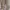 H&M Long Pencil Cargo Pants