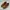 Visvim Streetwear Casual Boots Pria Tan Cream