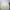 8seconds Muslim Sweatshirt Pria cream photo 3