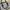 Kate Spade Casual Handbag Wanita white navy photo 1