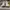 AIR JORDAN 1 MID GREY FOG photo 2
