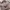 Michael Kors Casual Handbag Wanita Pink