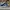 NIKE DUNK LOW RETRO SP KENTUCKY BLUE PANDA NIKE DUNK LOW RET photo 3