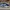 NIKE DUNK LOW RETRO SP KENTUCKY BLUE PANDA NIKE DUNK LOW RET photo 1