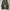CARGO PANTS GREEN WHITE STITCHING photo 4