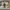 AIR JORDAN 1 MID COLLEGE GREY AIR JORDAN 1 MID COLLEGE GREY photo 4